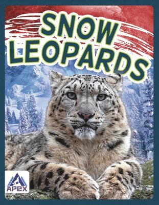 Snow Leopards 1