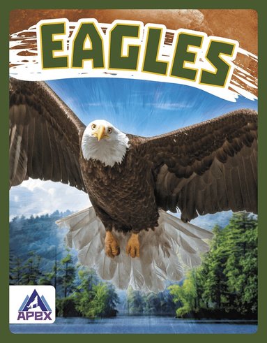 Golriz Golkar - Eagles, Inbunden