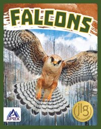 bokomslag Birds of Prey: Falcons