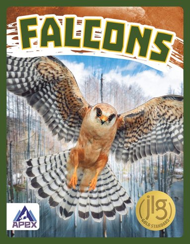 Connor Stratton - Falcons, Inbunden