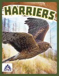 bokomslag Harriers