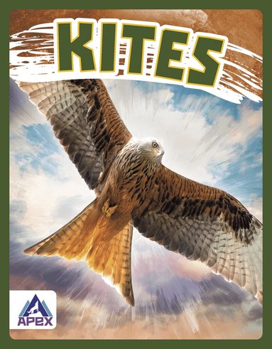 Connor Stratton - Kites, Inbunden