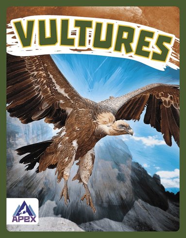 Megan Gendell - Vultures, Inbunden