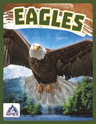 bokomslag Eagles