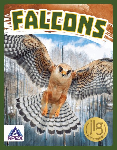 Connor Stratton - Falcons, Häftad