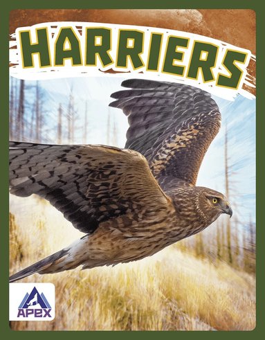 Connor Stratton - Harriers, Häftad