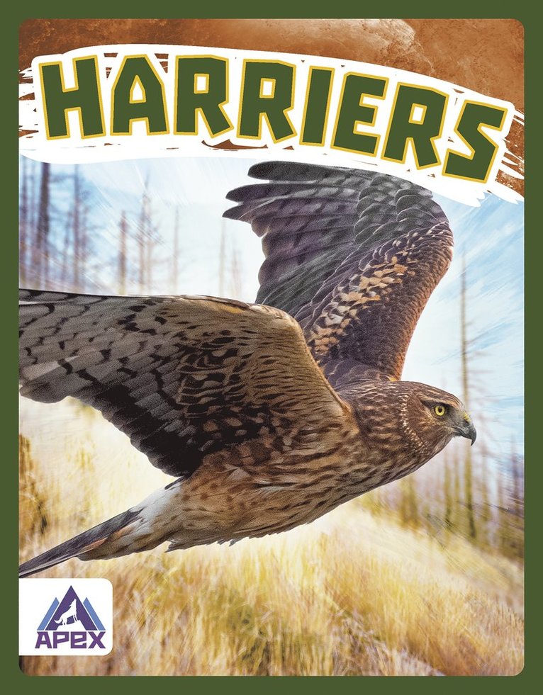 Harriers 1