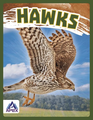 Megan Gendell - Hawks, Häftad