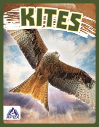 bokomslag Birds of Prey: Kites