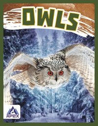bokomslag Birds of Prey: Owls