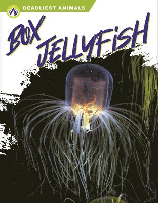 Deadliest Animals: Box Jellyfish 1