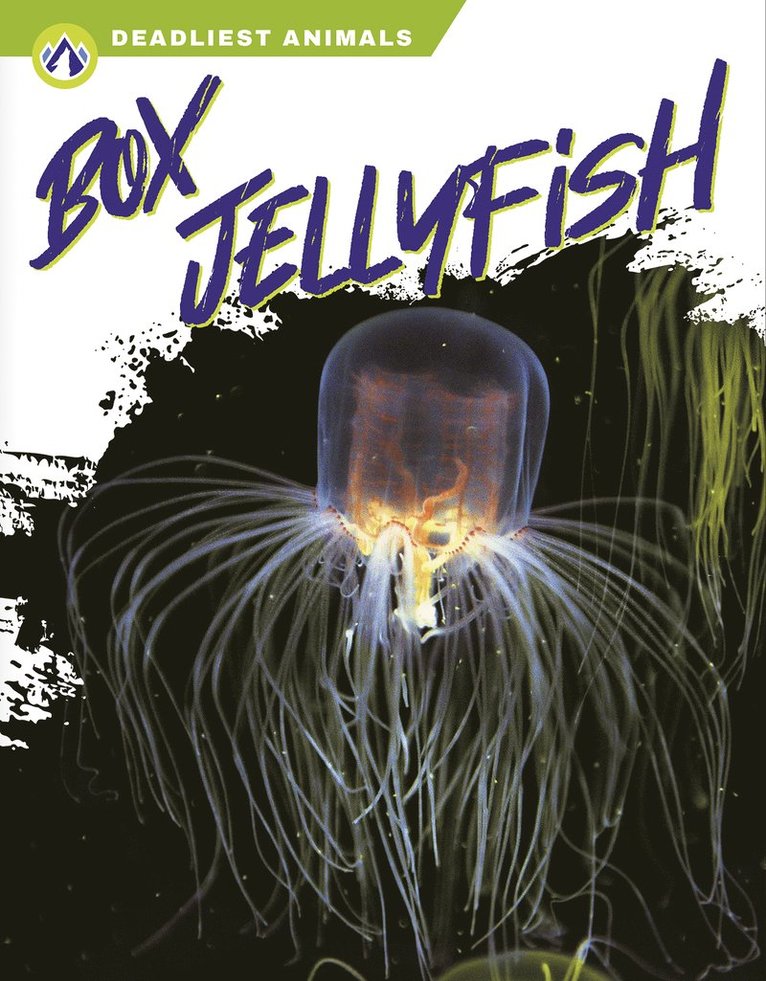 Box Jellyfish 1