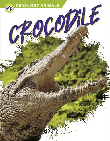 Golriz Golkar - Crocodile, Inbunden