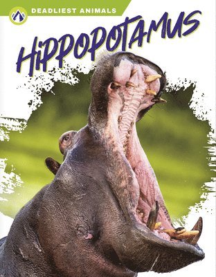 bokomslag Hippopotamus