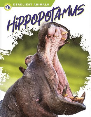 Golriz Golkar - Hippopotamus, Inbunden