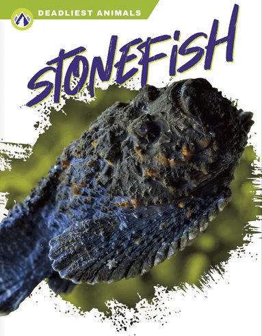 Golriz Golkar - Stonefish, Inbunden