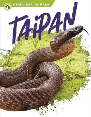 Deadliest Animals: Taipan 1