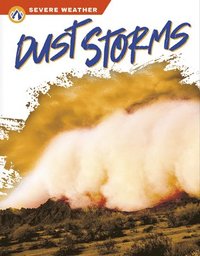 bokomslag Severe Weather: Dust Storms