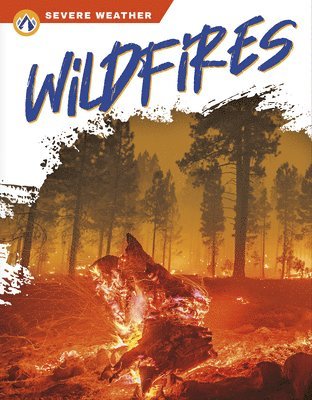 Wildfires 1