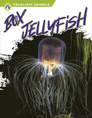 Connor Stratton - Box Jellyfish, Häftad