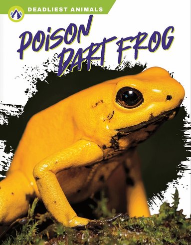 Golriz Golkar - Poison Dart Frog, Häftad