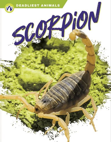 Rachel Hamby - Scorpion, Häftad