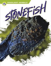 bokomslag Deadliest Animals: Stonefish