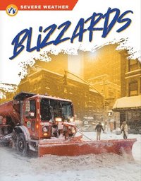 bokomslag Severe Weather: Blizzards