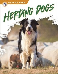 bokomslag Herding Dogs