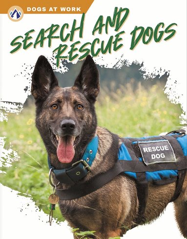 Matt Lilley - Search and Rescue Dogs, Häftad