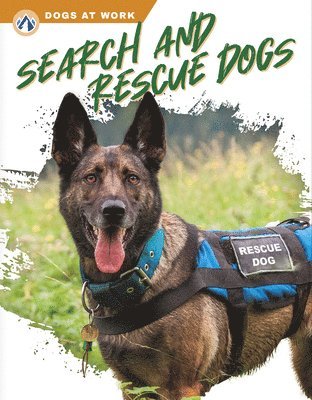 bokomslag Search and Rescue Dogs