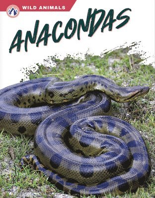 James Bow - Anacondas, Häftad