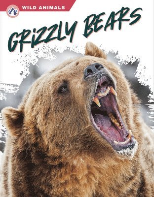 Rachel Hamby - Grizzly Bears, Häftad