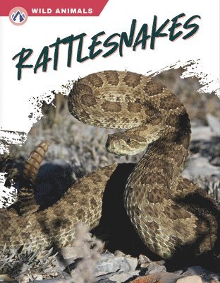 Libby Wilson - Rattlesnakes, Häftad
