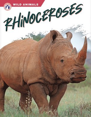 Rachel Hamby - Rhinoceroses, Häftad