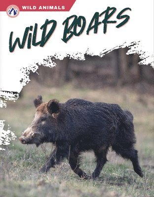 Libby Wilson - Wild Boars, Häftad