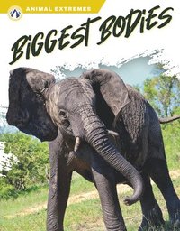 bokomslag Animal Extremes: Biggest Bodies