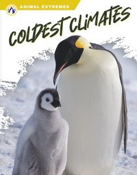 bokomslag Animal Extremes: Coldest Climates