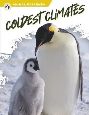 Animal Extremes: Coldest Climates 1
