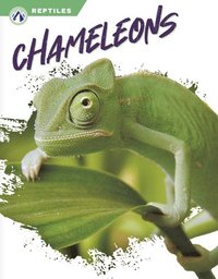 bokomslag Reptiles: Chameleons