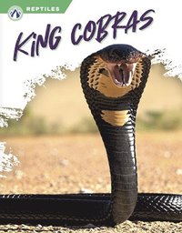 bokomslag Reptiles: King Cobras
