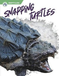 bokomslag Reptiles: Snapping Turtles