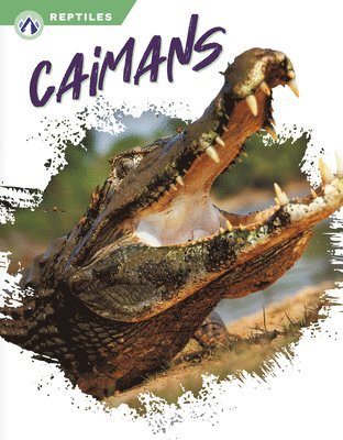 James Bow - Caimans, Häftad