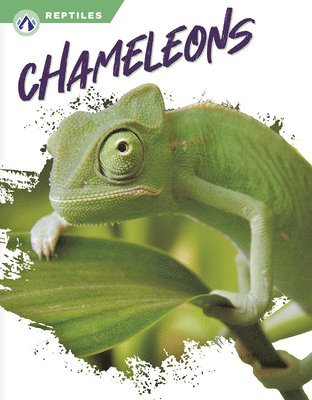 Megan Gendell - Chameleons, Häftad