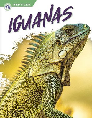 bokomslag Iguanas