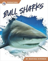bokomslag Predators: Bull Sharks
