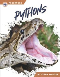 bokomslag Predators: Pythons