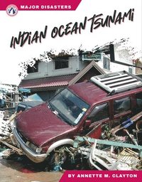 bokomslag Major Disasters: Indian Ocean Tsunami