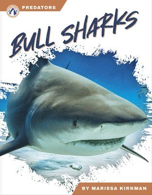 bokomslag Bull Sharks