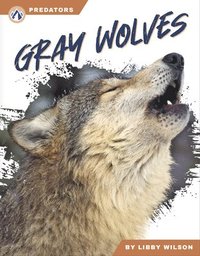 bokomslag Predators: Gray Wolves